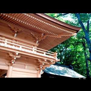 八幡大神社 2